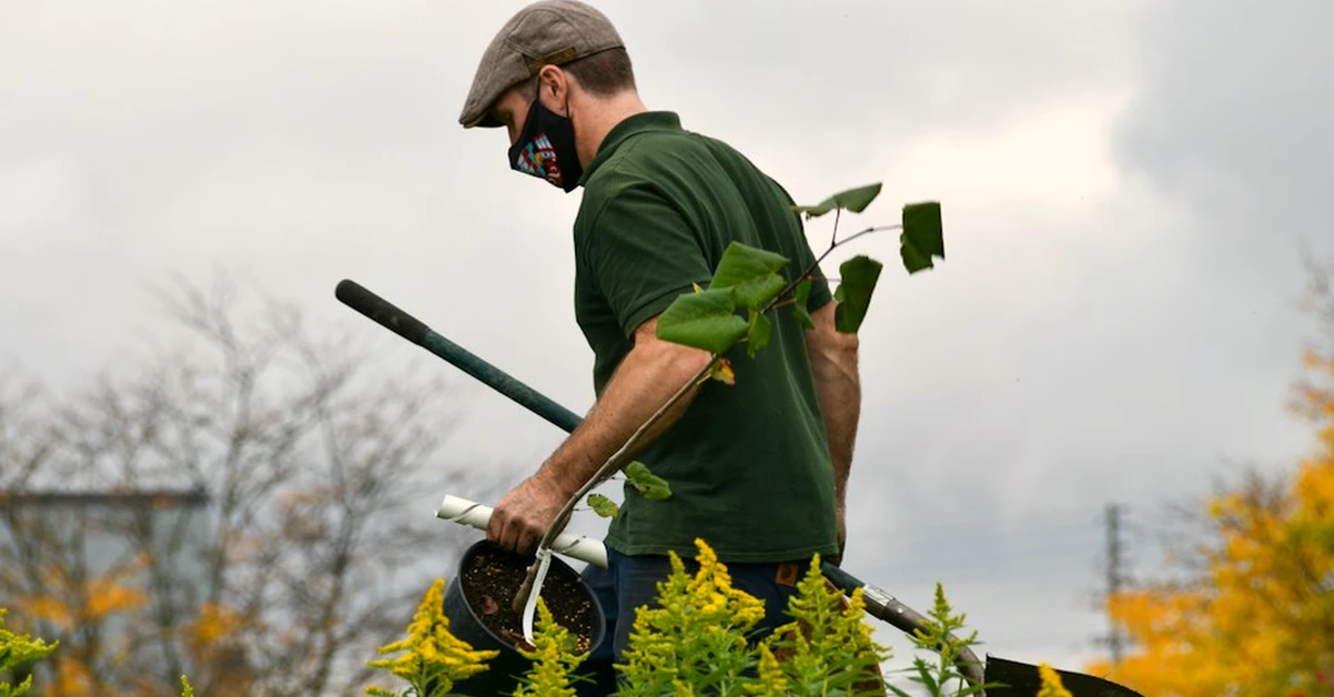 October Gardening Jobs for Garden Birds