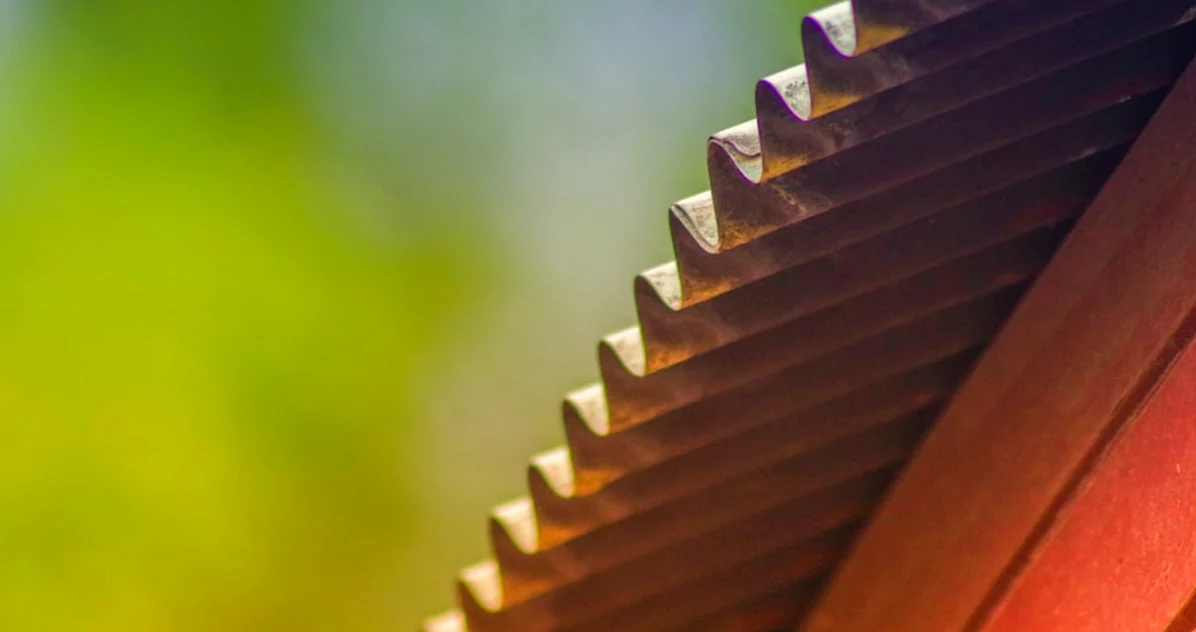 Stop Roof Nesting Humanely: A UK Garden Guide
